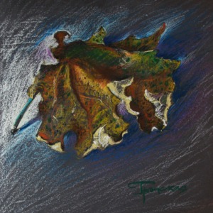 Leaf