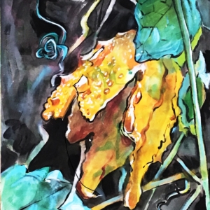 tropical flowers6