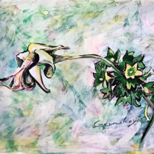tropical flowers5