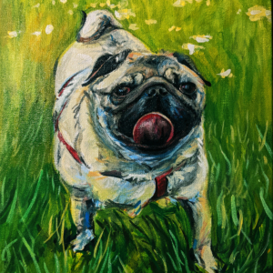 customer portrait of the dog