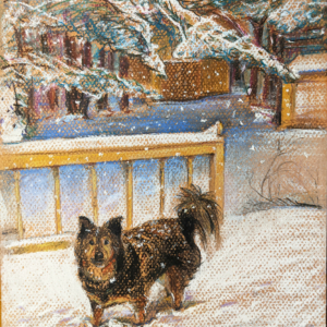 customer portrait of the dog