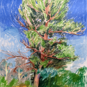 landscape9