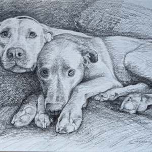 CustomerPortrait